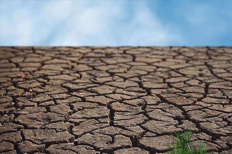 Katkı henüz yüzde 1'i bile değil