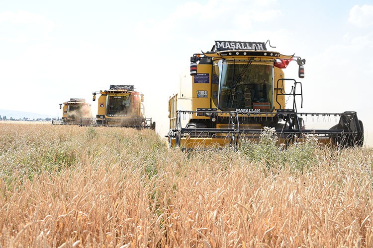 Erzurum'da tarımsal üretim arttı