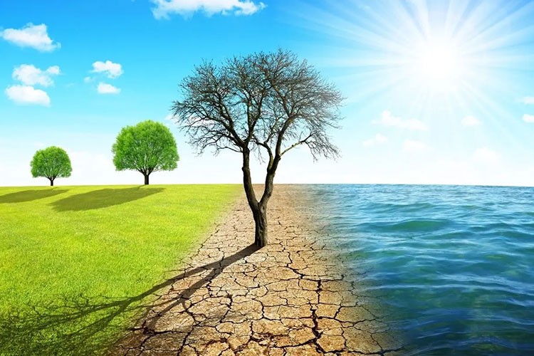 İklim değişikliğine karşı direncini artırmak için yeni adımlar yolda