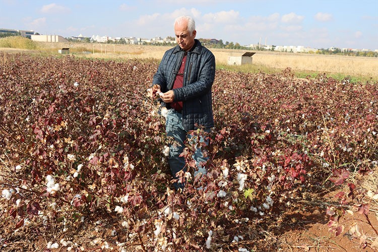 Şanlıurfa'da yenileyici tarımın yaygınlaştırılması hedefleniyor