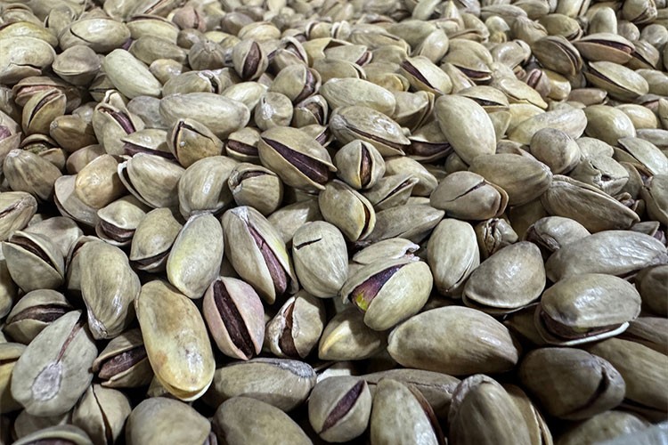 Türkiye'den 2024 yılında 229 milyon dolarlık fıstık ihraç edildi