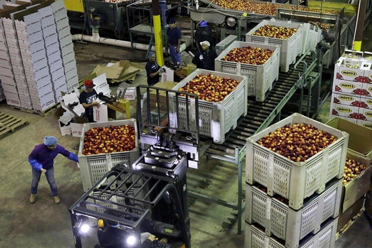 Yurt Dışı ÜFE eylülde aylık yüzde 0,59 azaldı