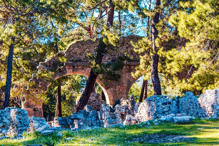 Kemer'deki endemik bitki ve çiçek türleri araştırılacak
