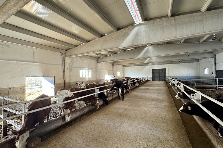 Baba mesleği besiciliği modern tesise taşıdı