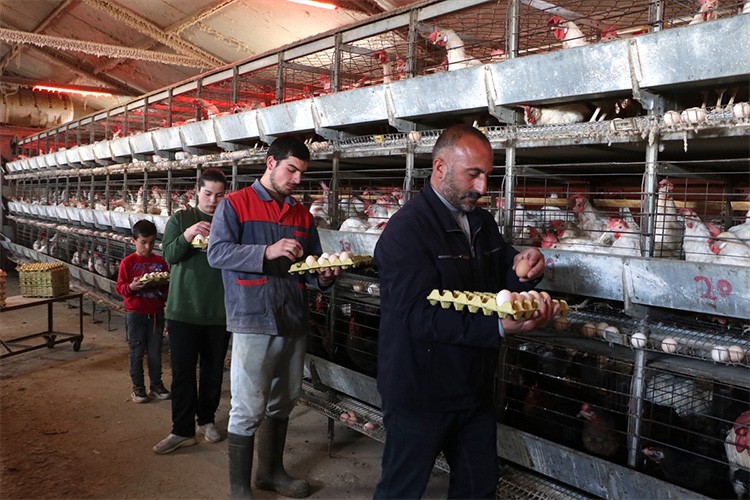 Çadırda başladığı yumurta üretimini tesiste sürdürüyor