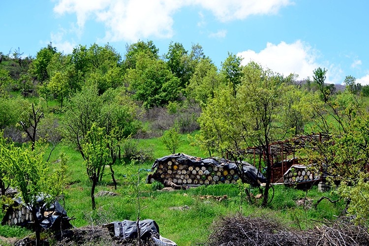 Arıcıların yayla hazırlığı