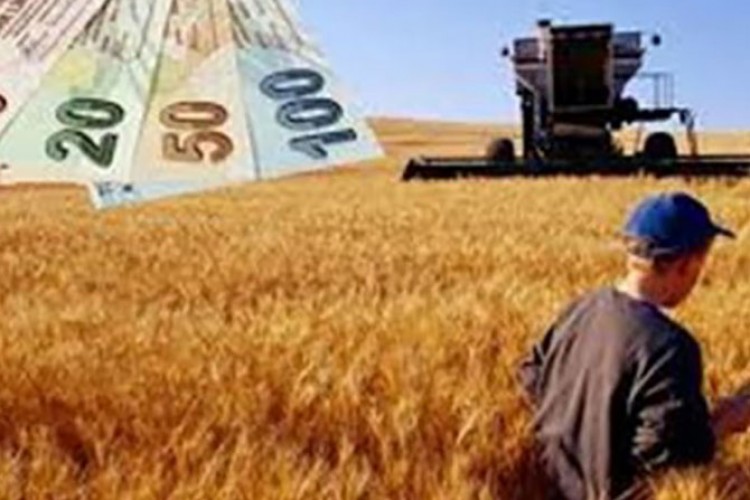 Çiftçilere 59 milyon liralık destek aktarımı başladı