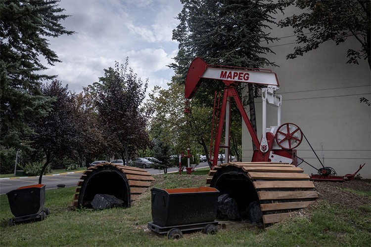 Maden sahalarına 20,5 milyon fidan dikildi