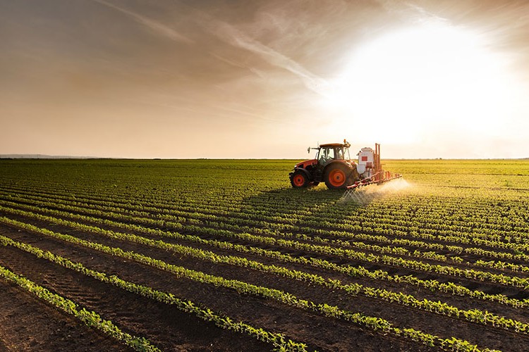 TKYB sukuk ihracını gerçekleştirdi