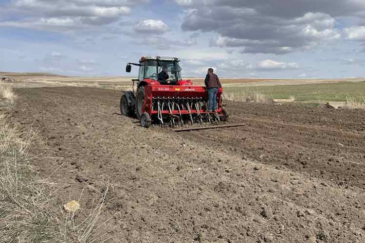 Yozgat'ta nohut ekim alanları genişliyor