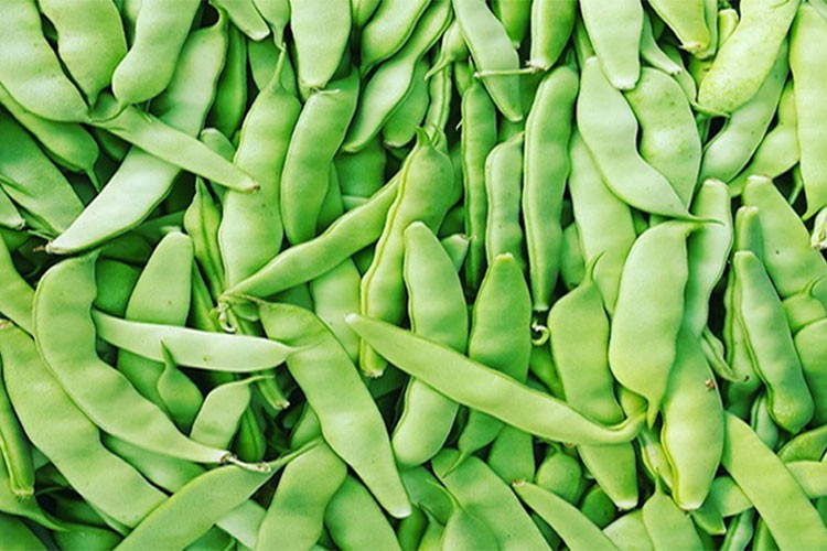 İstanbul'da en çok tezi fasulyenin fiyatı arttı