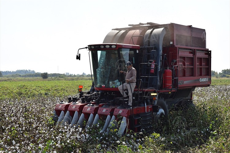Pamuk alım fiyatı 4.5 lira