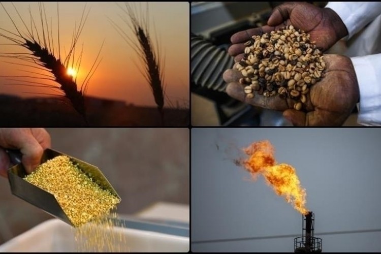 Emtia piyasasında tarım grubu pozitif ayrıştı