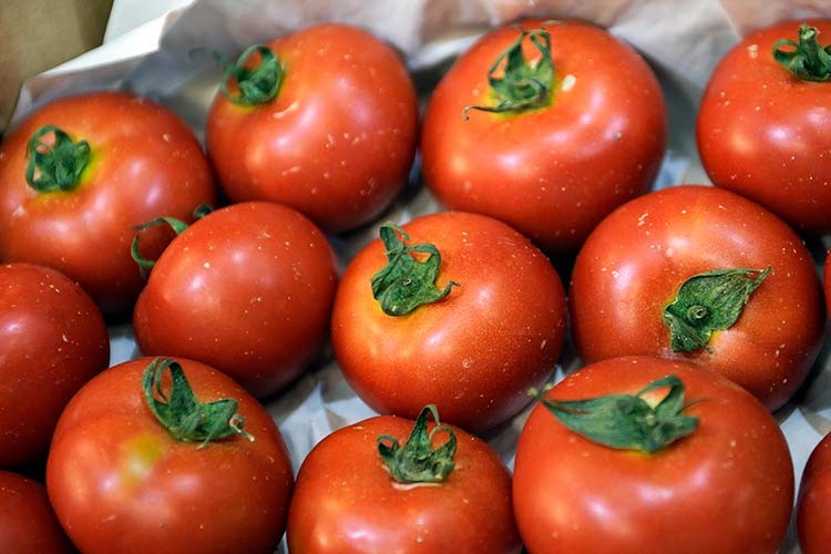 İhracatta rekor kırdı