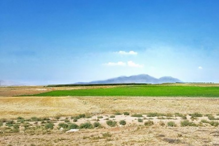 Atıl tarım arazilerinin kullanımı için protokol imzalandı