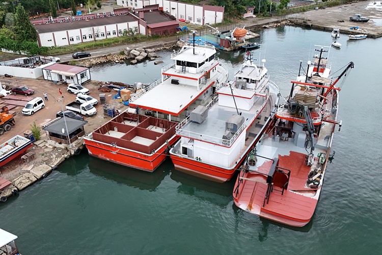 Karadenizli balıkçılar yeni sezonda hamsiden umutlu