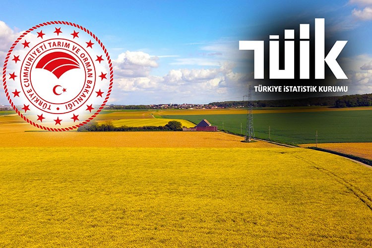 TÜİK, tarım sayımının detaylarını paylaştı