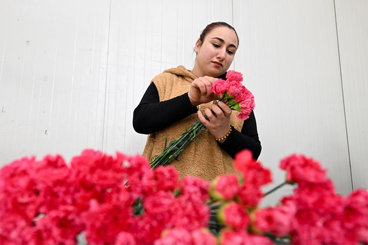 Türkiye'den Sevgililer Günü için 75 milyon dal çiçek ihracatı