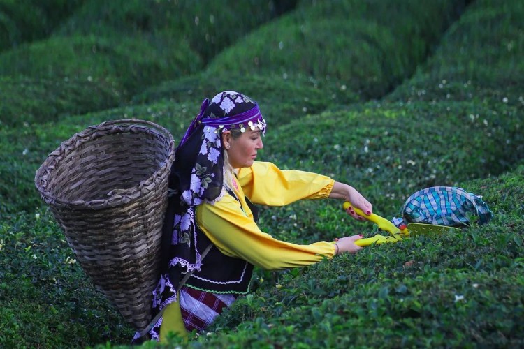 Bir Bahar Masalı; Nalia Karadeniz Mutfağı