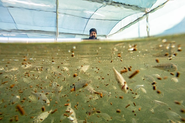 10 yılda ikiye katlandı