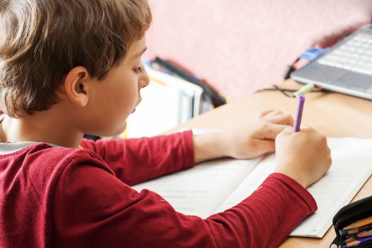 Okula yardımcı hangi özel dersler ilgi görüyor?