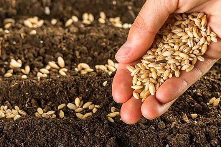 Pazarlama hakkı satılacak