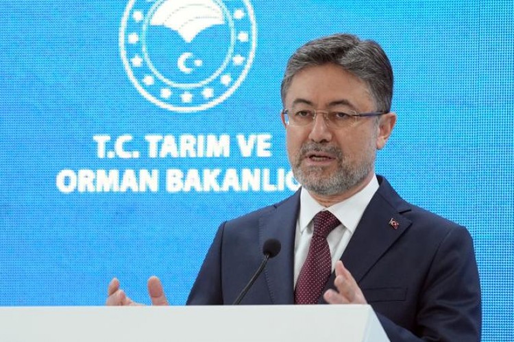 Kırsalda kadınlara destek yaklaşık 4 kat arttı