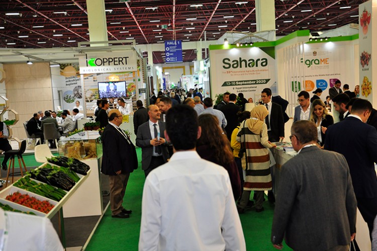 Bitki ıslahı proje pazarı