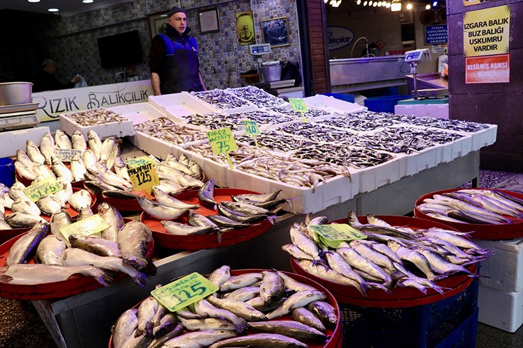 Trabzon'da hamsinin kilogramı 50 liradan satılıyor