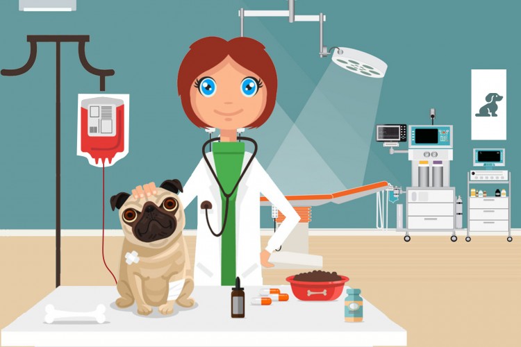 Düzenli Veteriner Hekim Kontrollerini ihmal etmeyin