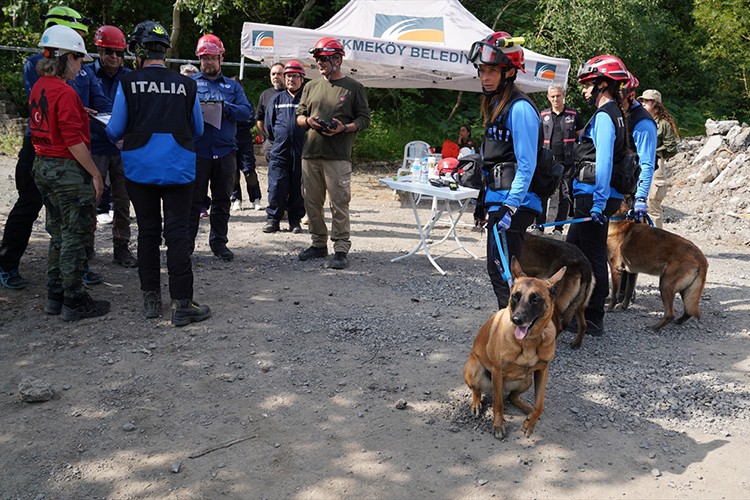 Dünya arama kurtarma köpekleri şampiyonası İstanbul'da yapıldı