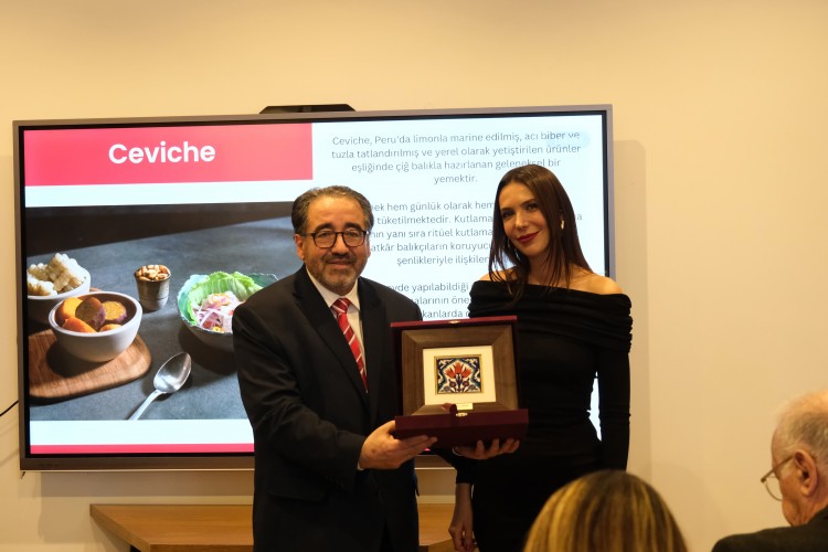 DEİK, PERU'DA YATIRIM FIRSATLARINI MASAYA YATIRDI