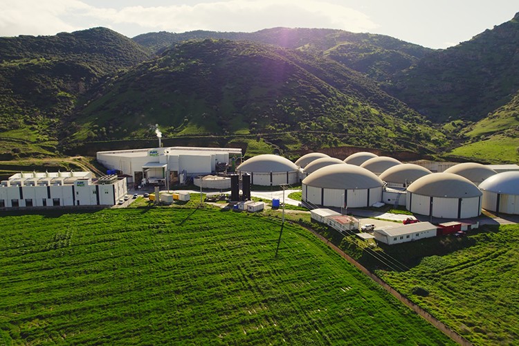 ARF Bio'nun halka arzına 4 kata yakın talep geldi