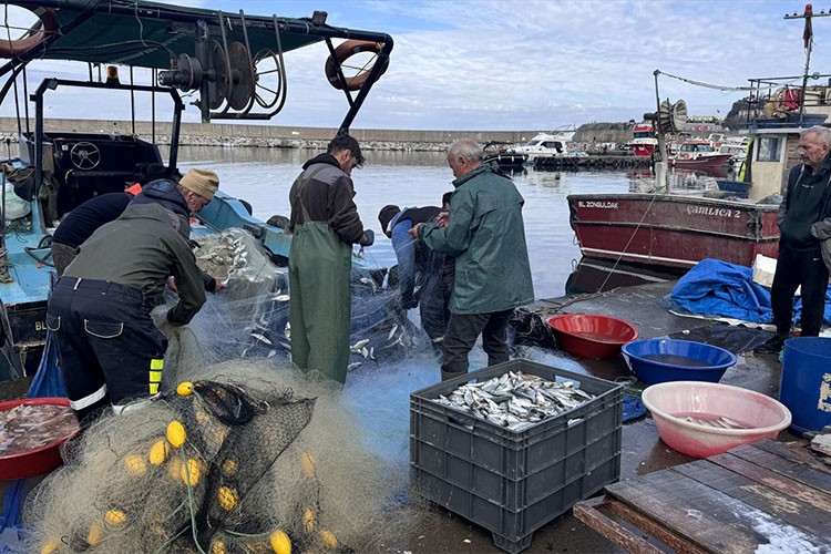 Zonguldak'ta balıkçılar limana yaklaşık 2 ton lüferle döndü