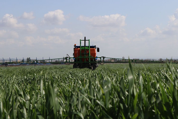 Büyükşehir üretiyor Şanlıurfa kazanıyor