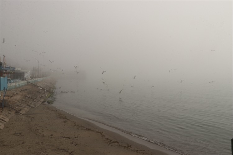 Tekirdağ'da sis deniz ve kara ulaşımını olumsuz etkiledi