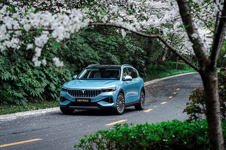 Türkiye'ye Free Modeliyle Giriş Yaptı