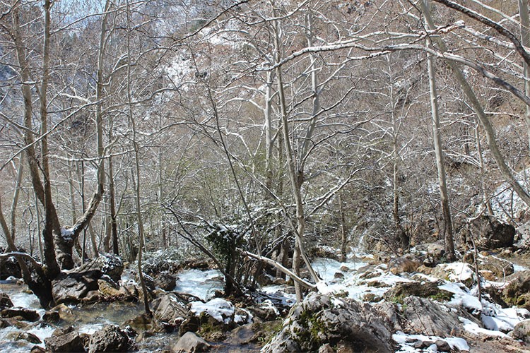 Obruk Şelalesi Tabiat Parkı kar yağışıyla beyaza büründü