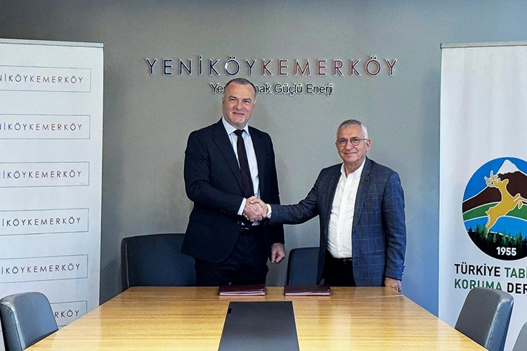 YK Enerji ile TTKD taşınan zeytin ağaçlarının takibi için protokol imzaladı