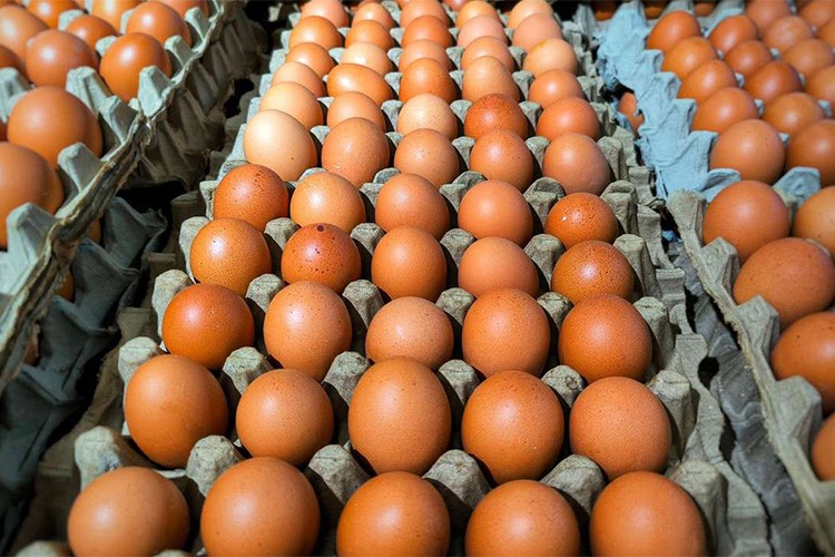 Yumurta ihracatında kilo başına 50 sent kesinti yapılacak