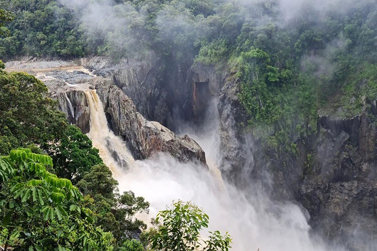 Kuranda'da ikonik bir yolculuk