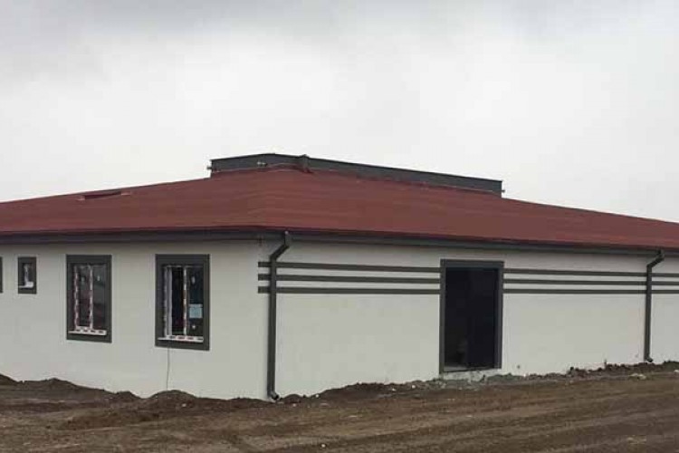 "istiridye mantarları Turan mahallesinden"