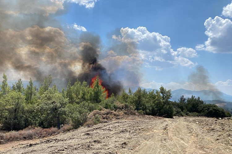 Muğla'da çıkan orman yangını söndürüldü