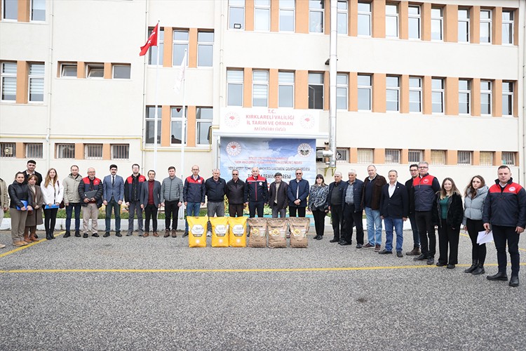 Yerli tohumla ayçiçeğinde verim