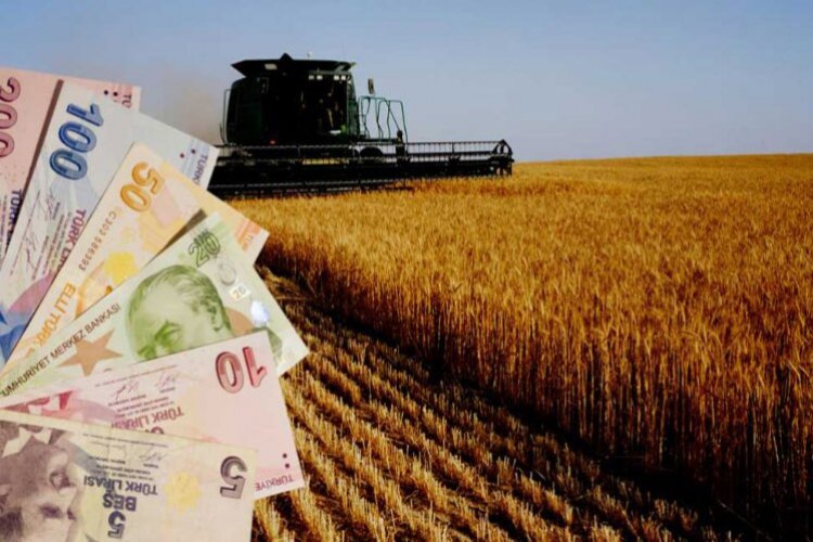 Tarımsal girdi fiyatları aylık yüzde 0,72 arttı