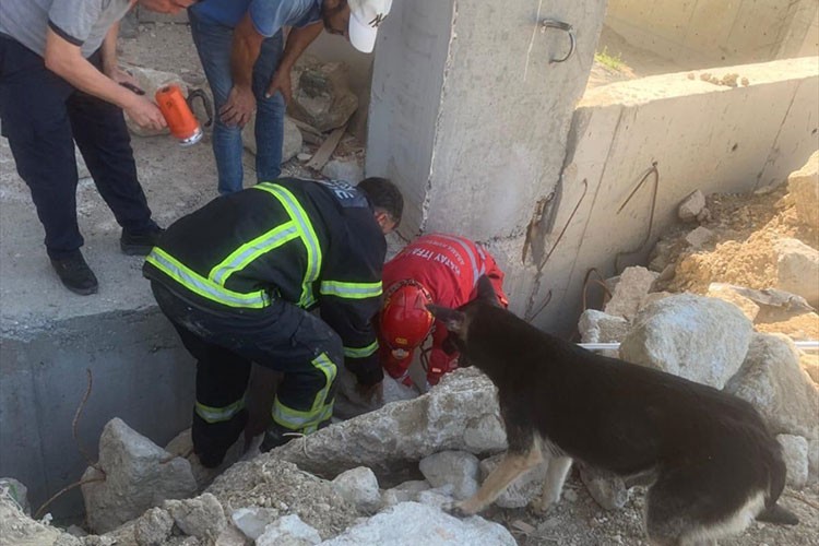 Hasarlı evde mahsur kalan 5 köpek yavrusu kurtarıldı