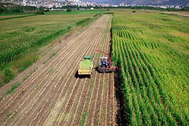 Tarım ÜFE yüzde 142 arttı