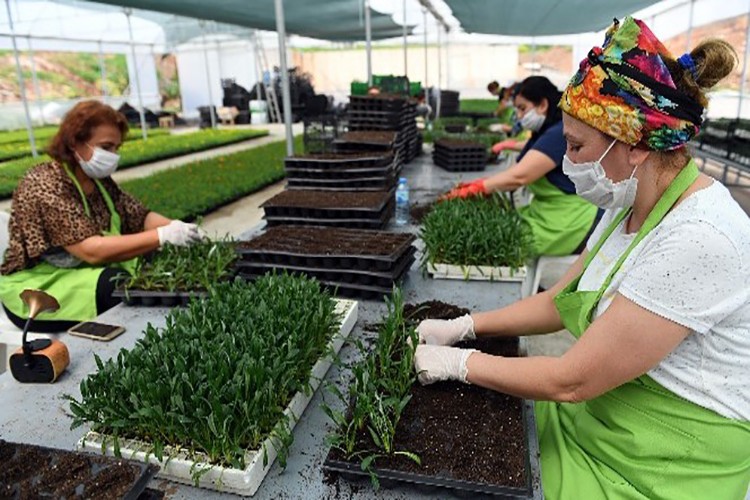 Kadın kooperatiflerine 3 yılda 42,3 milyon lira destek