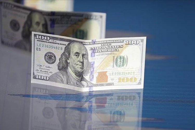 Reel efektif döviz kuru endeksi nisanda geriledi