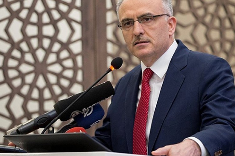 "Program bütçe sistemi"